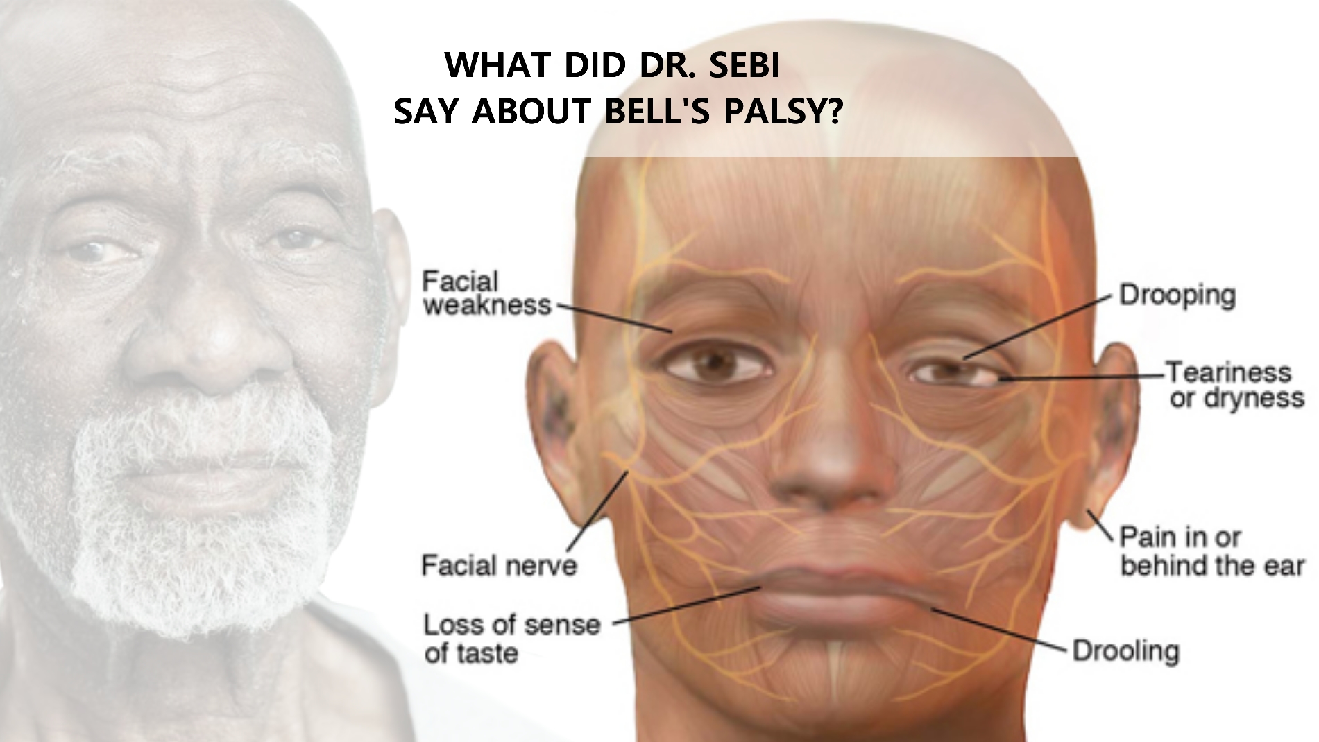 Image result for dr sebi