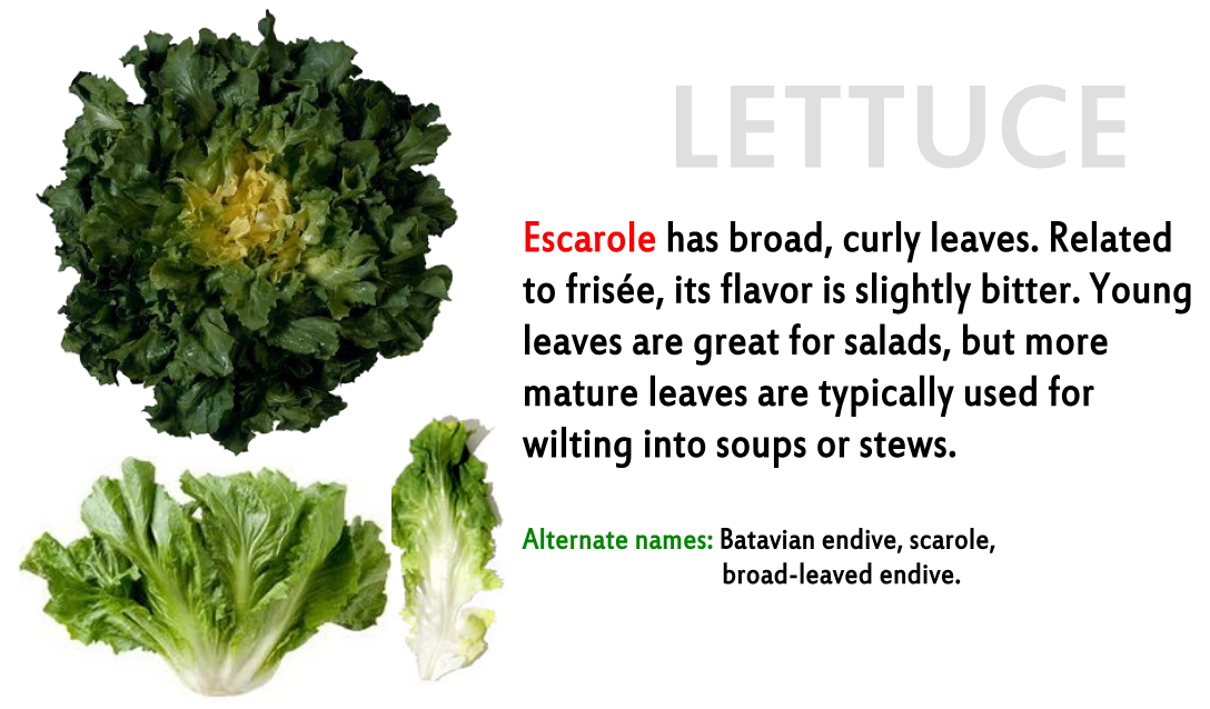 Lettuce перевод на русский. Lettuce транскрипция. Lettuce Лиз трасс. Escarole. Предложение со словом lettuce.