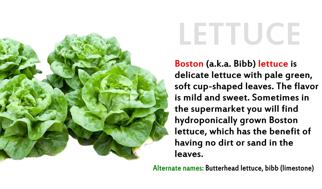Lettuce перевод на русский. Английское произношение lettuce. Модификатор lettuce. Lettuce на русском. Lettuce карточка на англ.