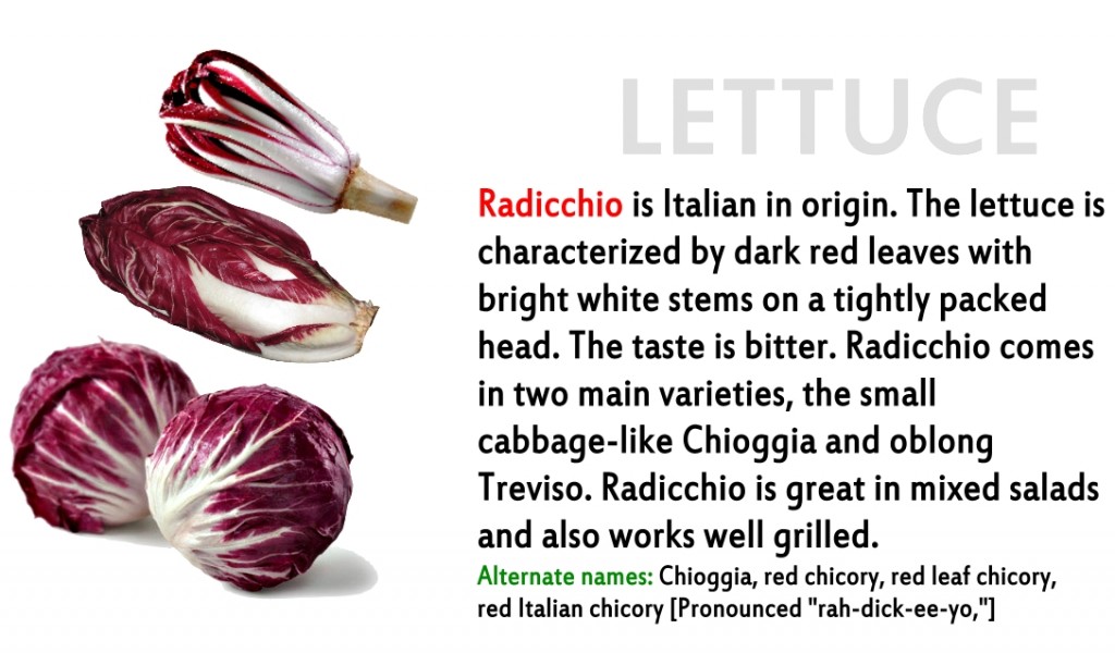 Promo - lettuce 3 Radicchio