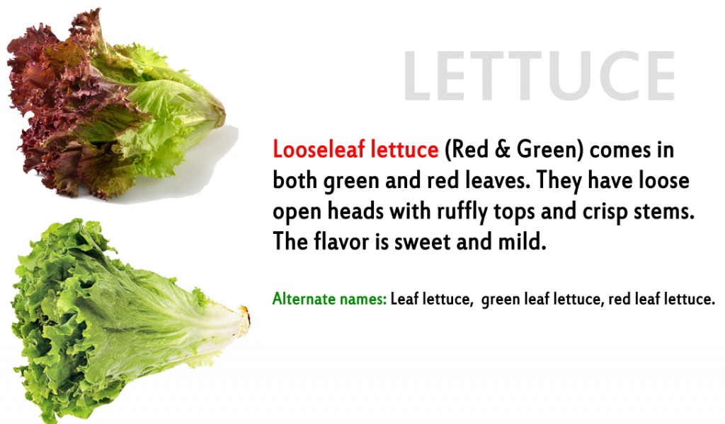 Promo - lettuce 6 Looseleaf green and red
